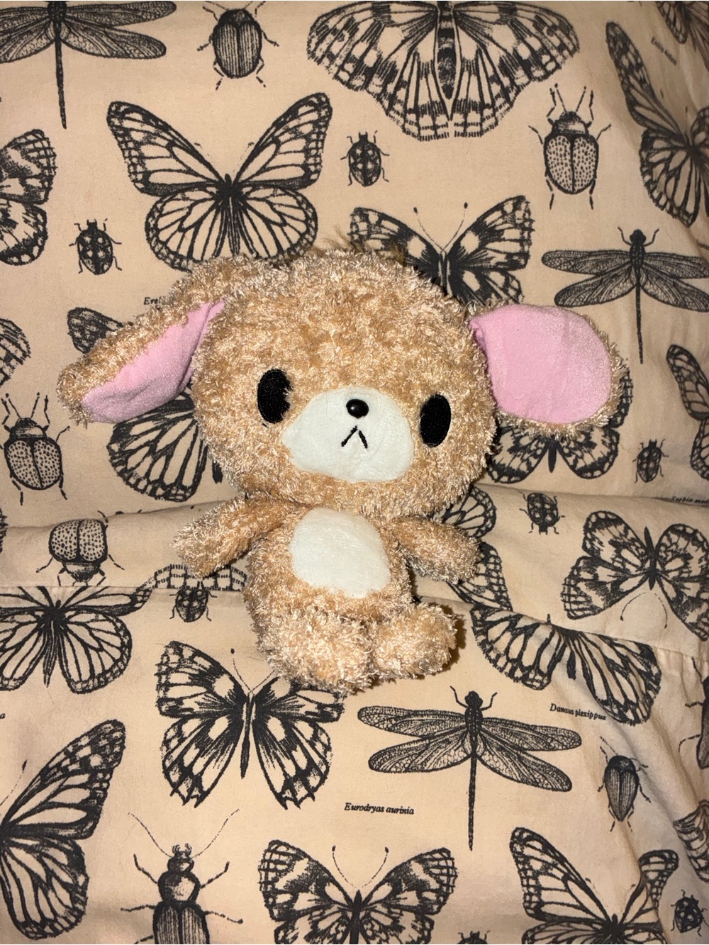 sugarbunnies kurousa plush